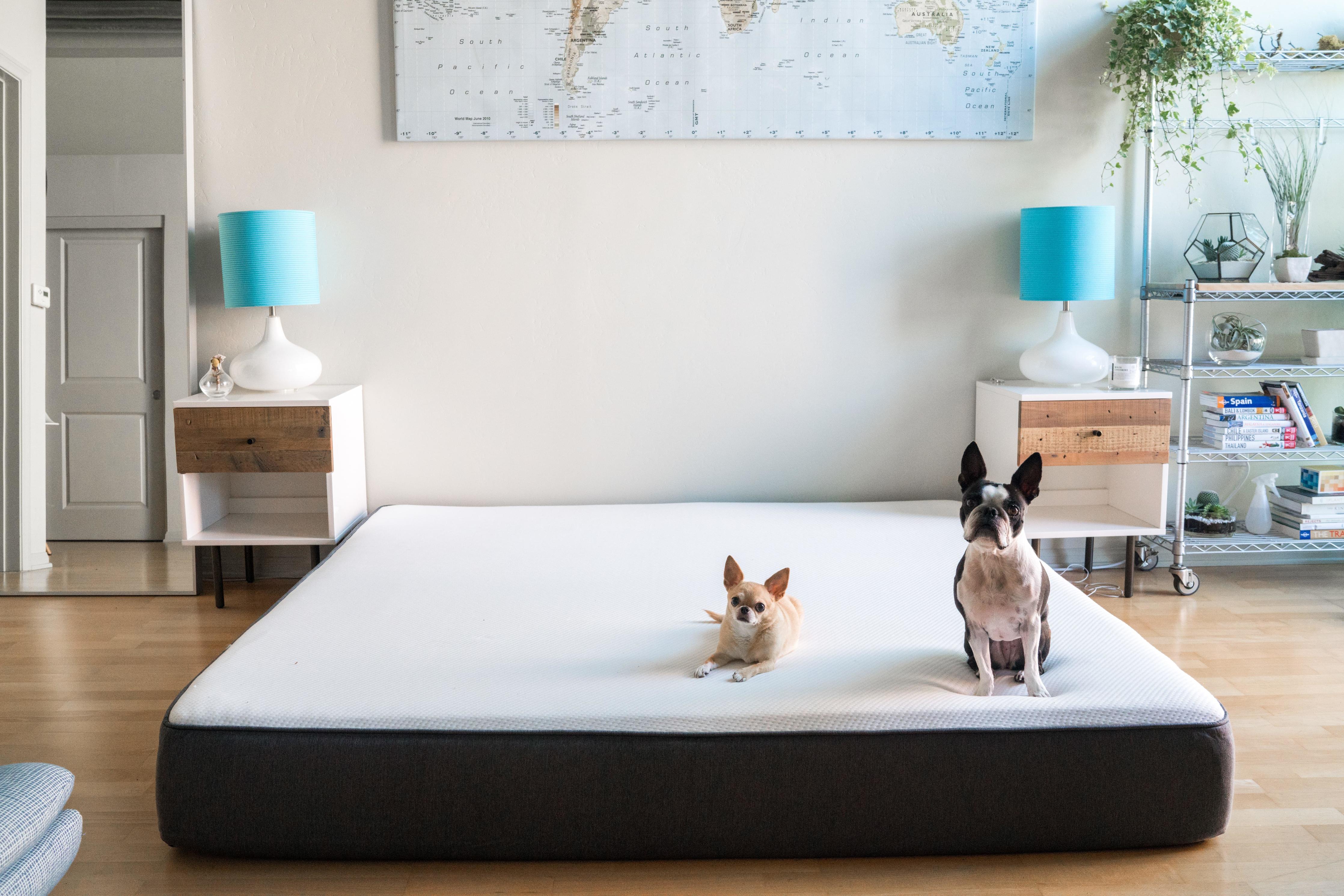 Can You Return a New Mattress? Muse Sleep