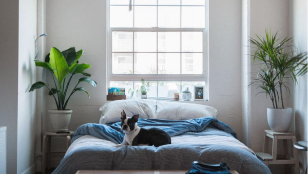 What Your Master Bedroom Says About You