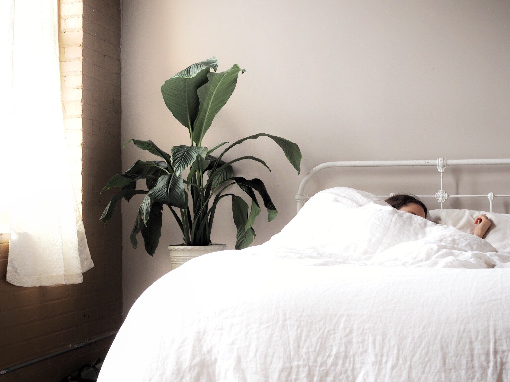 How to Select the Best Bed for You with a Mattress Muse Sleep