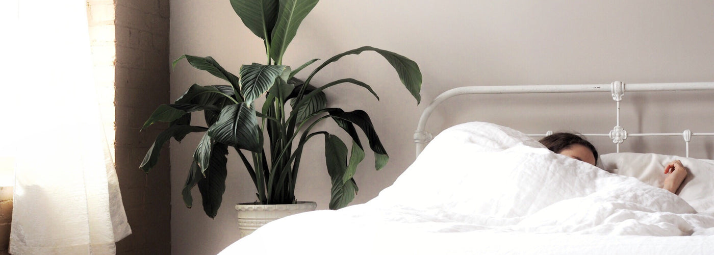How to Select the Best Bed for You with a Mattress Quiz